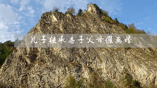 儿子继承房子父母假离婚 儿子继承房子父母假离婚