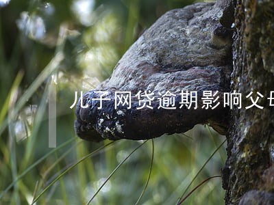 儿子网贷逾期影响父母贷款 儿子网贷逾期影响父母贷款