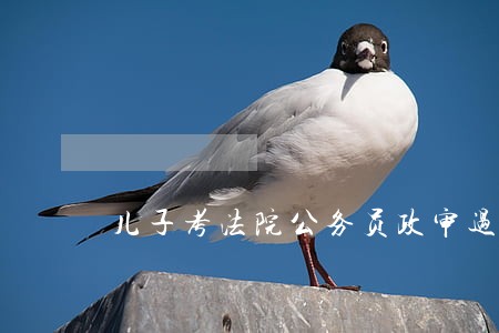儿子考法院公务员政审过了 儿子考法院公务员政审过了