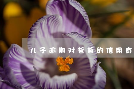 儿子逾期对爸爸的信用有影响吗 儿子逾期对爸爸的信用有影响吗