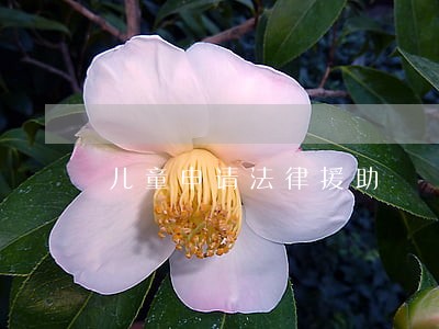 儿童申请法律援助 儿童申请法律援助