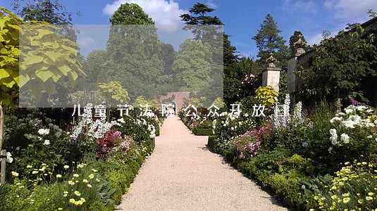 儿童节法院公众开放日