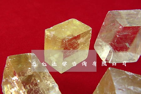 元化法律咨询有限公司 元化法律咨询有限公司