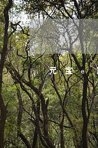 元宝e家逾期多久影响信用 元宝e家逾期多久影响信用