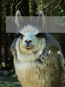 元旦不放假算不算是违法的 元旦不放假算不算是违法的