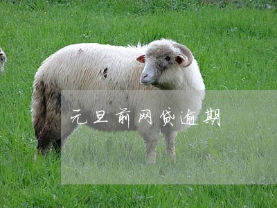 元旦前网贷逾期 元旦前网贷逾期