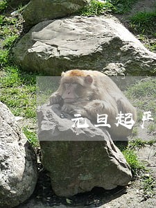 元旦起严管交通违法啦