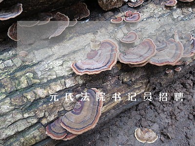 元氏法院书记员招聘 元氏法院书记员招聘