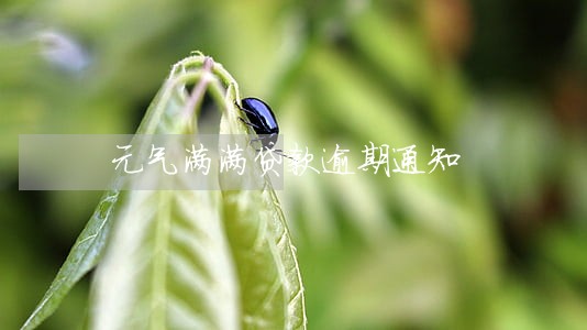 元气满满贷款逾期通知 元气满满贷款逾期通知