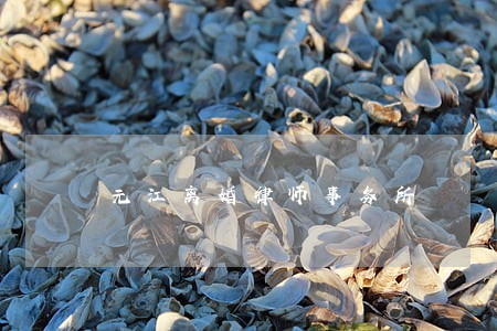 元江离婚律师事务所 元江离婚律师事务所