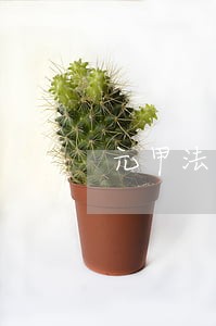 元甲法律咨询公司电话 元甲法律咨询公司电话