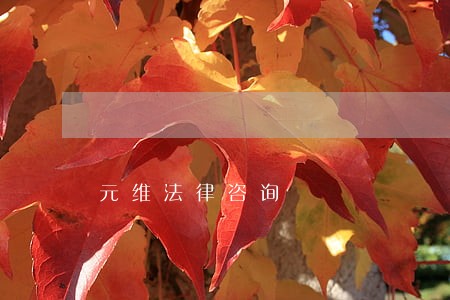 元维法律咨询 元维法律咨询