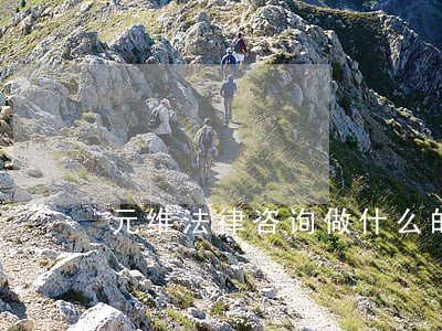 元维法律咨询做什么的 元维法律咨询做什么的