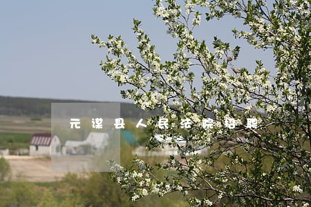 元谋县人民法院招聘