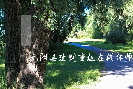 元阳县改制重组在线律师