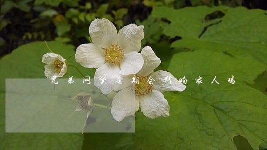 兄弟网贷逾期会影响家人吗 兄弟网贷逾期会影响家人吗