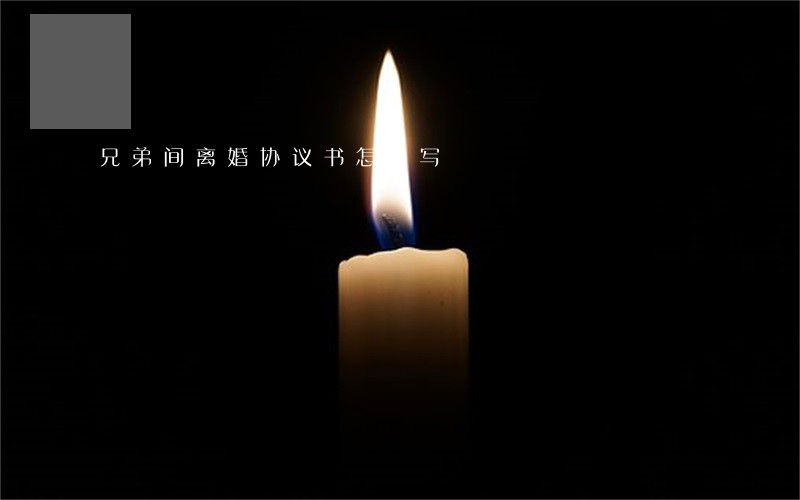 兄弟间离婚协议书怎么写 兄弟间离婚协议书怎么写