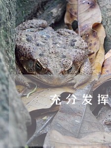 充分发挥法律顾问专业 充分发挥法律顾问专业
