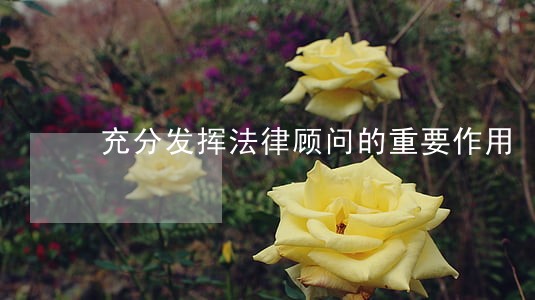 充分发挥法律顾问的重要作用 充分发挥法律顾问的重要作用