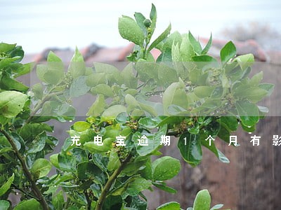 充电宝逾期1个月有影响吗 充电宝逾期1个月有影响吗
