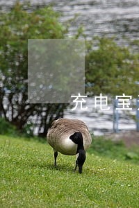 充电宝逾期付款影响信用评估