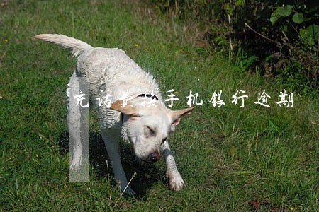 充话费换手机银行逾期 充话费换手机银行逾期