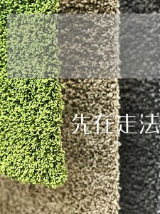 先在走法律程序 先在走法律程序
