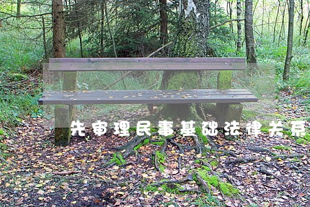 先审理民事基础法律关系 先审理民事基础法律关系