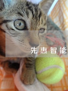 先惠智能装备(长沙)有限公司