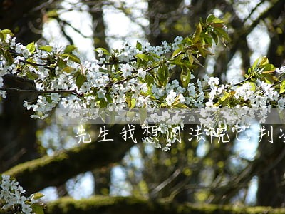 先生我想问法院巳判决非吸案 先生我想问法院巳判决非吸案