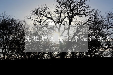 先租后买是几个法律关系 先租后买是几个法律关系