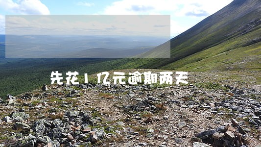 先花1亿元逾期两天 先花1亿元逾期两天