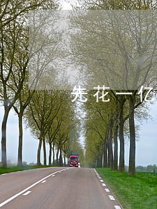 先花一亿元贷款逾期