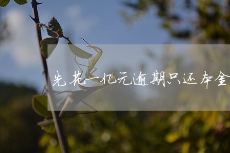 先花一亿元逾期只还本金 先花一亿元逾期只还本金