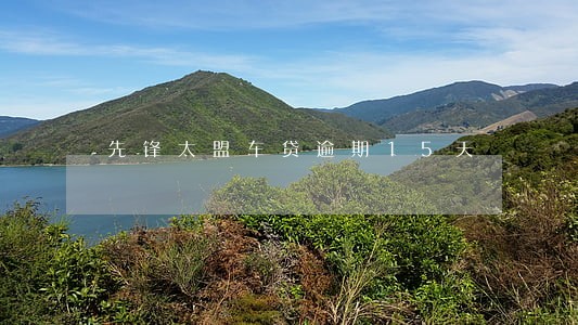 先锋太盟车贷逾期15天 先锋太盟车贷逾期15天