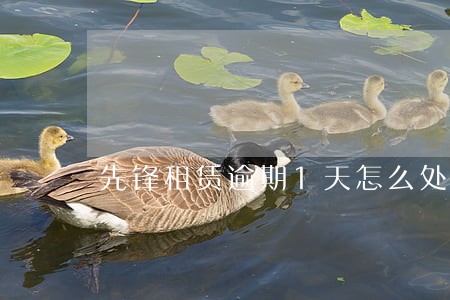 先锋租赁逾期1天怎么处理 先锋租赁逾期1天怎么处理