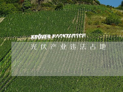 光伏产业违法占地 光伏产业违法占地