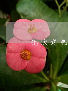 光伏发电行业政策法规