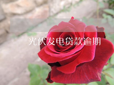 光伏发电贷款逾期 光伏发电贷款逾期