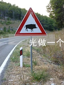 光做一个很棒的律师 光做一个很棒的律师