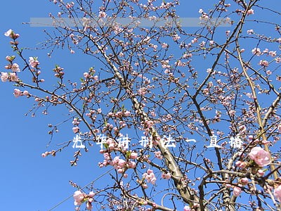 光华讲刑法一直播 光华讲刑法一直播