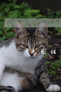 光发信用卡逾期不还6 光发信用卡逾期不还6