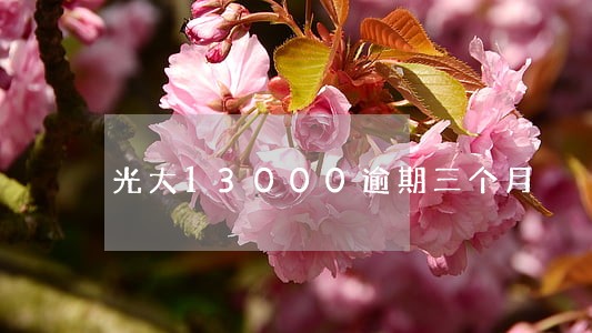 光大13000逾期三个月