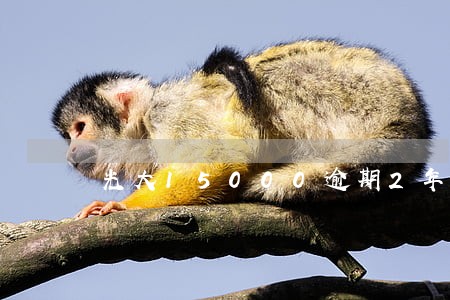 光大15000逾期2年 光大15000逾期2年