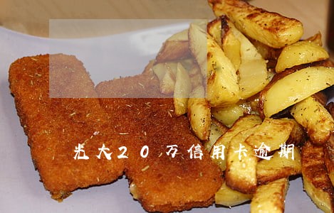 光大20万信用卡逾期