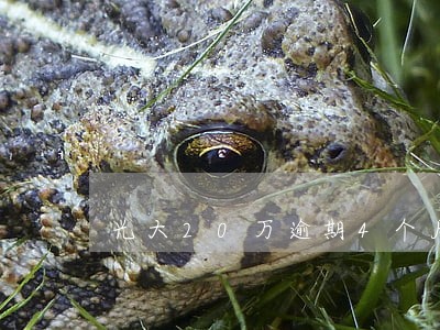 光大20万逾期4个月 光大20万逾期4个月
