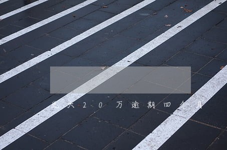 光大20万逾期四个月 光大20万逾期四个月
