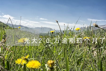 光大20万逾期四个月了怎么办 光大20万逾期四个月了怎么办