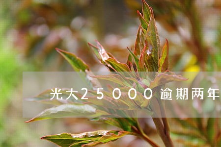 光大25000逾期两年多 光大25000逾期两年多