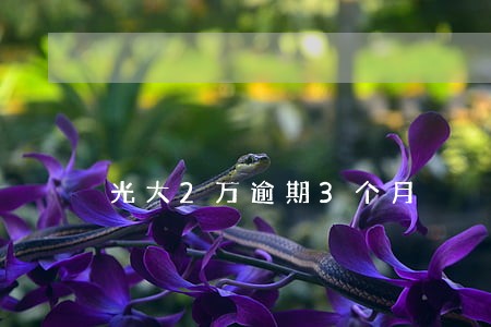 光大2万逾期3个月 光大2万逾期3个月
